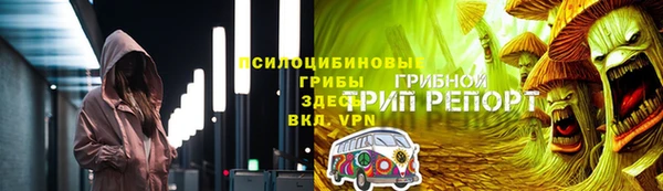 СК Гусь-Хрустальный
