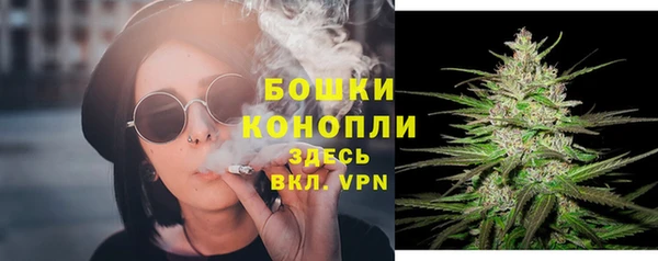 гидропоника Горняк