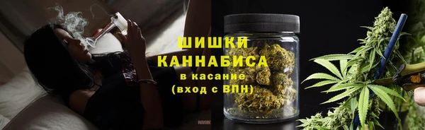 ПСИЛОЦИБИНОВЫЕ ГРИБЫ Горно-Алтайск