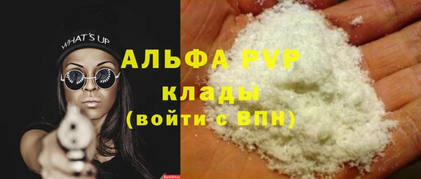 ПСИЛОЦИБИНОВЫЕ ГРИБЫ Горно-Алтайск