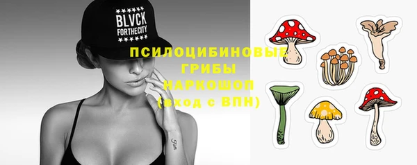 СК Гусь-Хрустальный