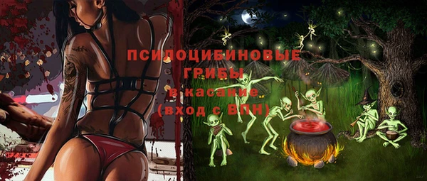 МДПВ Горнозаводск