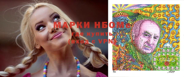 СК Гусь-Хрустальный