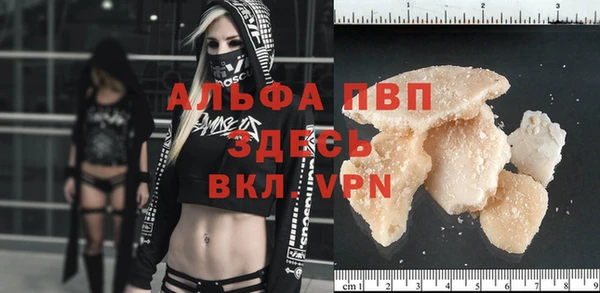 ПСИЛОЦИБИНОВЫЕ ГРИБЫ Горно-Алтайск