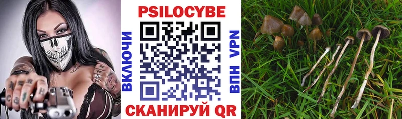 Псилоцибиновые грибы GOLDEN TEACHER  Певек 